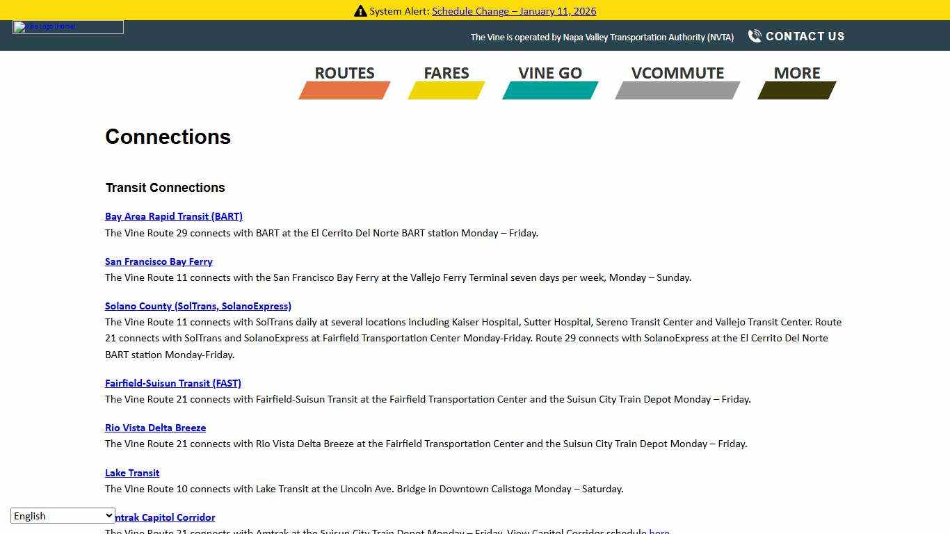 Connections – The Vine